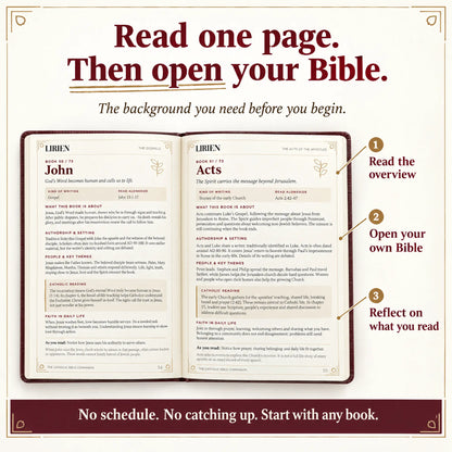Lirien™ Catholic Bible Companion